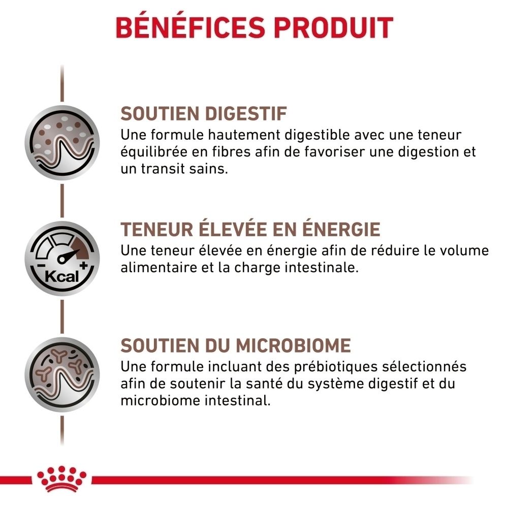 Graphique illustrant la composition scientifique de ROYAL CANIN® Veterinary Gastrointestinal.