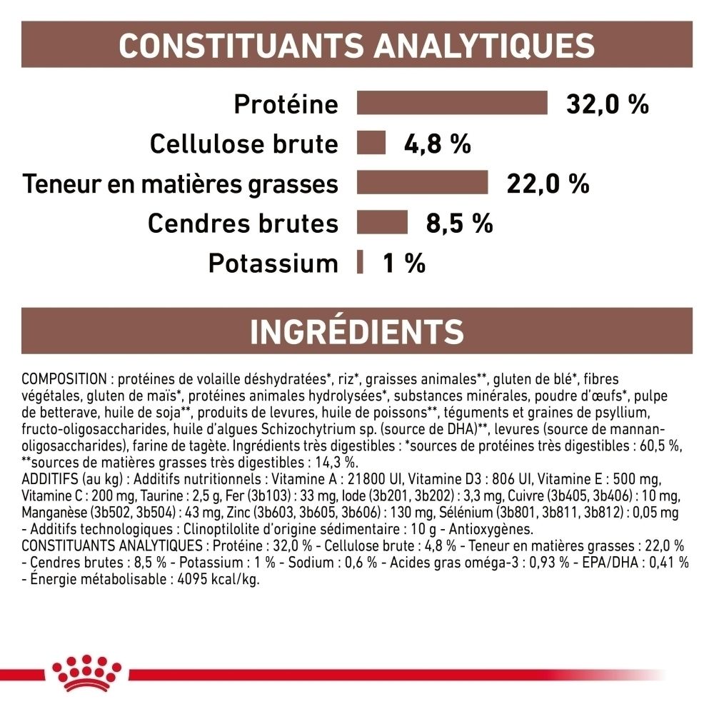 Graphique expliquant comment les problèmes digestifs peuvent survenir chez les chats.
