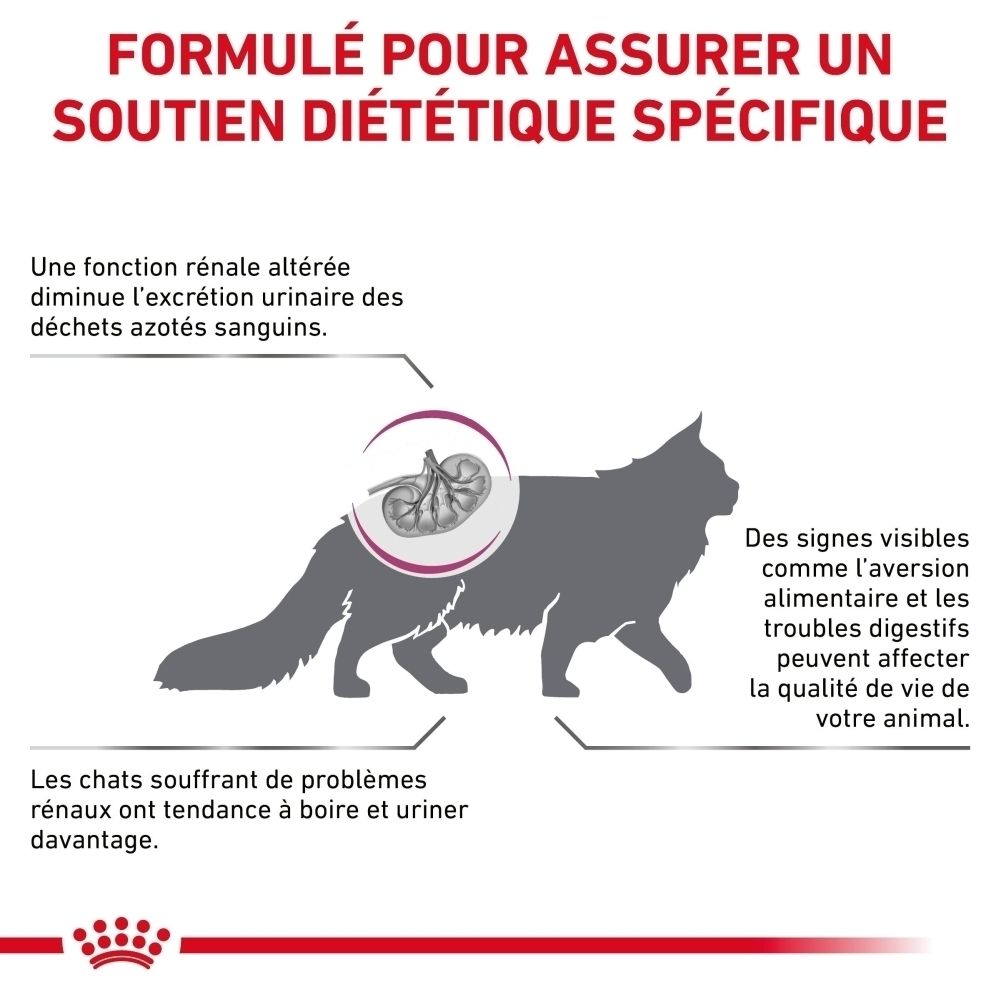 Sac de croquettes Royal Canin Veterinary Renal pour chat, vue de côté.