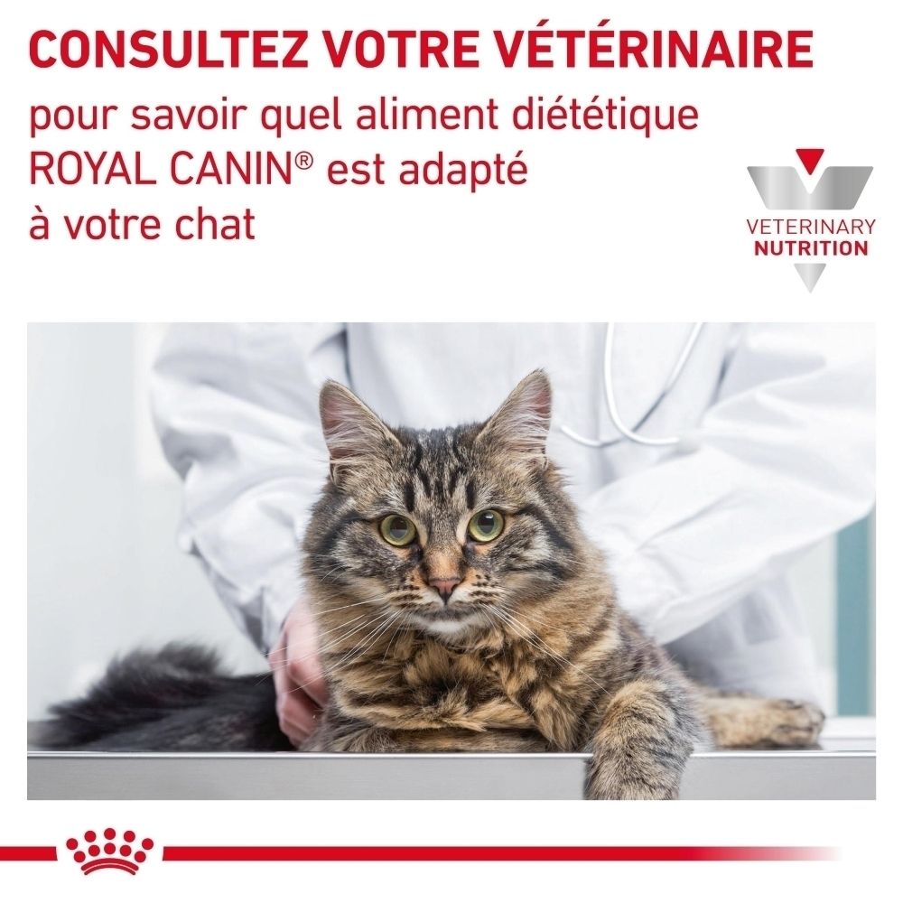 Sac de croquettes Royal Canin Veterinary Renal pour chat, avec illustration de chat.