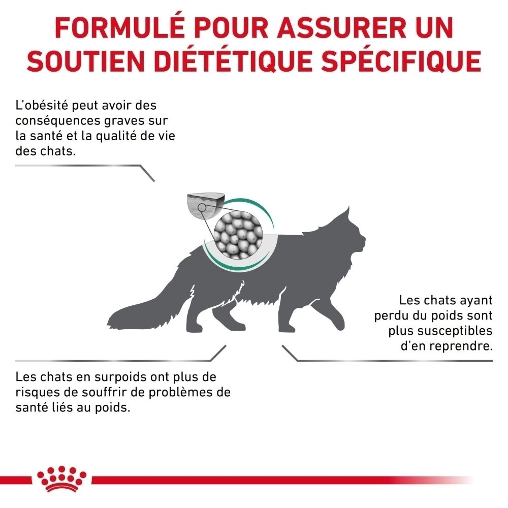 Grafik einer Katze mit Nahaufnahme von Kroketten in einer Schüssel. Text über Gewichtsmanagement für Katzen.