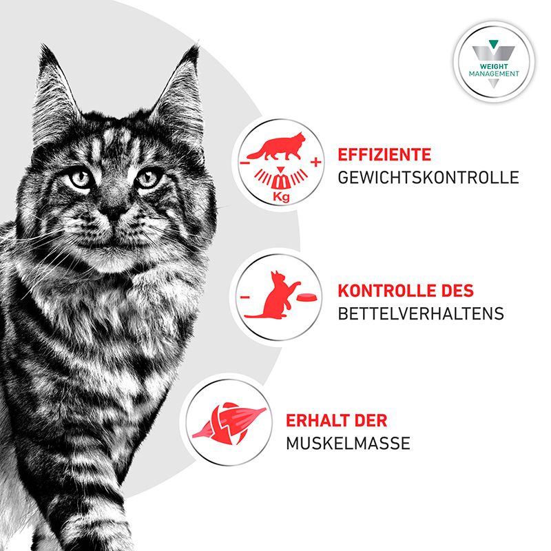 Katze mit Symbolen für Gewichtsmanagement, Kontrolle des Bettelverhaltens und Muskelerhalt.