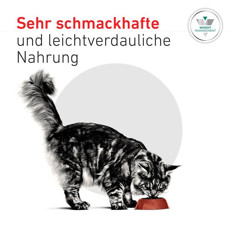 Eine Katze frisst aus einem Napf. Text: Sehr schmackhafte und leichtverdauliche Nahrung.