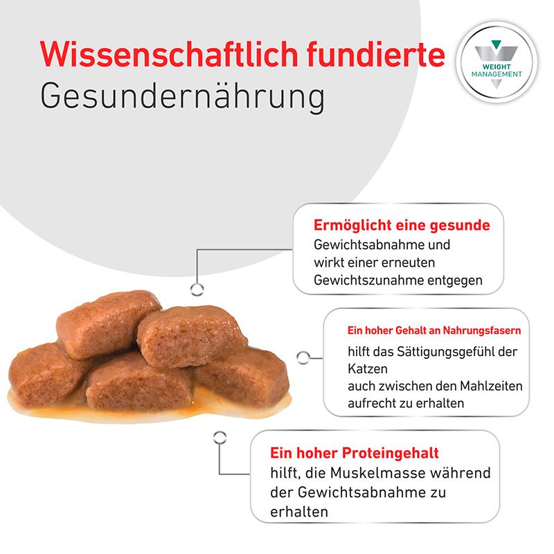 Kibble von Royal Canin Renal Special Katzenfutter in Soße, mit Textfeldern zu Nährwerten.