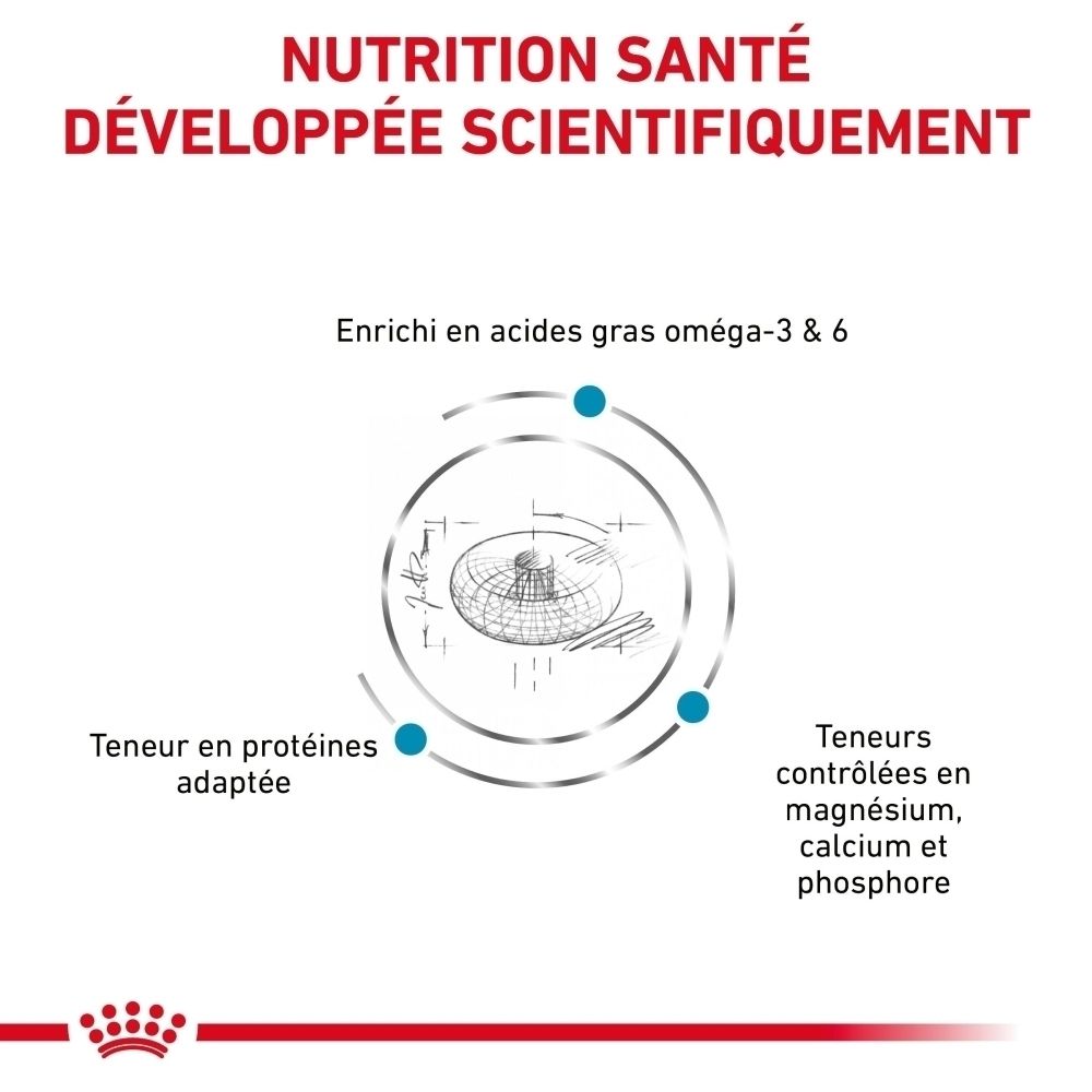 Wissenschaftlich entwickelte Tiernahrung mit Omega-3- und 6-Fettsäuren, angepasstem Proteingehalt und kontrolliertem Magnesium-, Kalzium- und Phosphorgehalt.