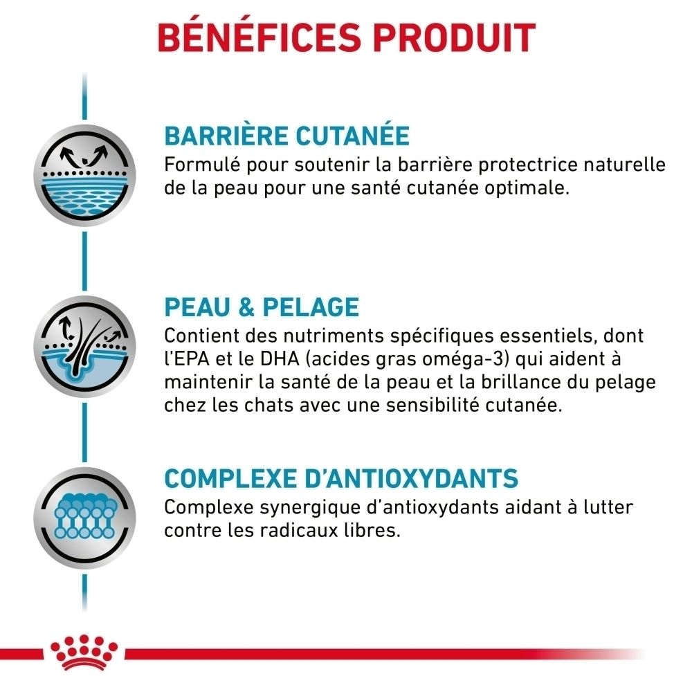 Produktvorteile: Hautbarriere, Haut & Fell, Antioxidantien-Komplex. Icons zeigen Hautschutz, Haare und Moleküle.