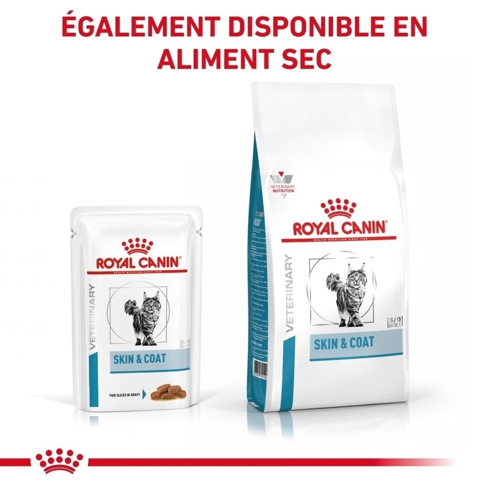 Royal Canin Skin & Coat Katzenfutter in Beutel und Sack. Zeigt eine Katze und Kroketten.