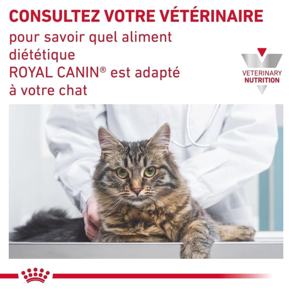 Pochette Royal Canin Urinary S/O Loaf avec chat et informations produit.