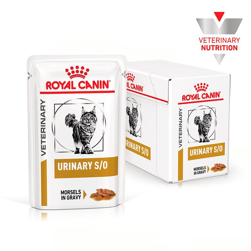 Drei Beutel Royal Canin Veterinary Urinary S/O nebeneinander, mit Katzenmotiv.