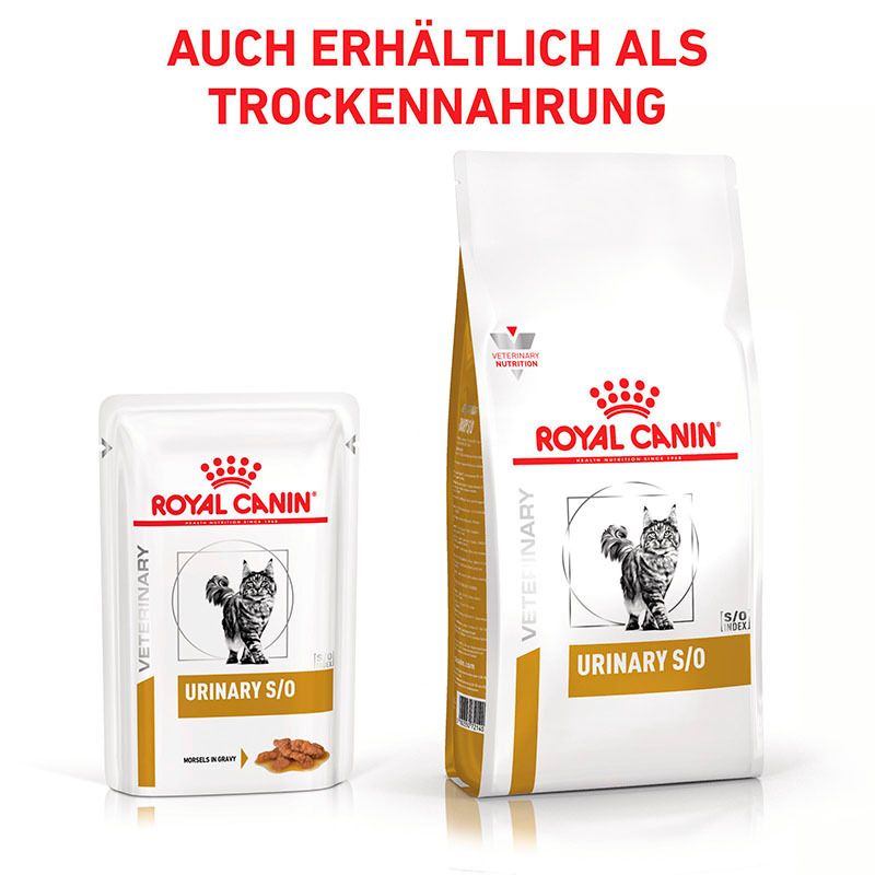 Vier Beutel Royal Canin Veterinary Urinary S/O nebeneinander, mit Katzenmotiv.