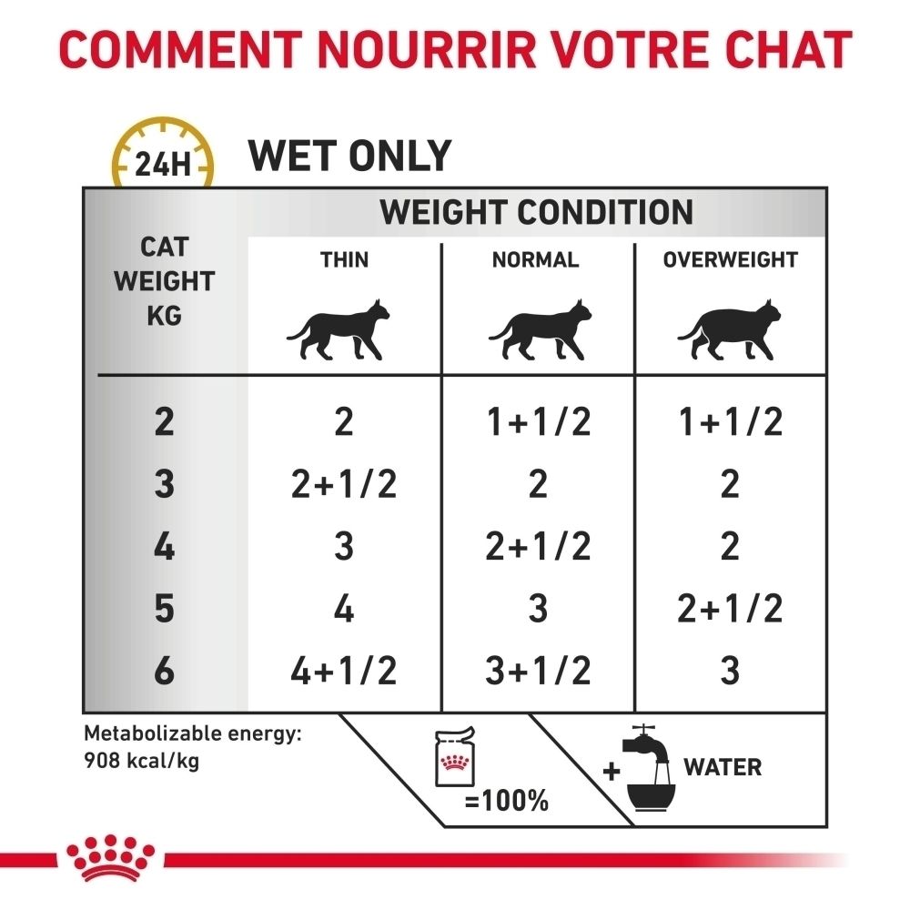 Tableau d'alimentation pour chats : poids, condition (mince, normale, surpoids) et quantité de nourriture en grammes.