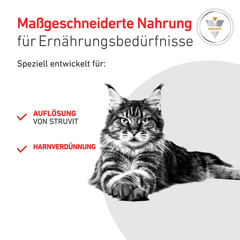 Sechs Beutel Royal Canin Veterinary Urinary S/O nebeneinander, mit Katzenmotiv.