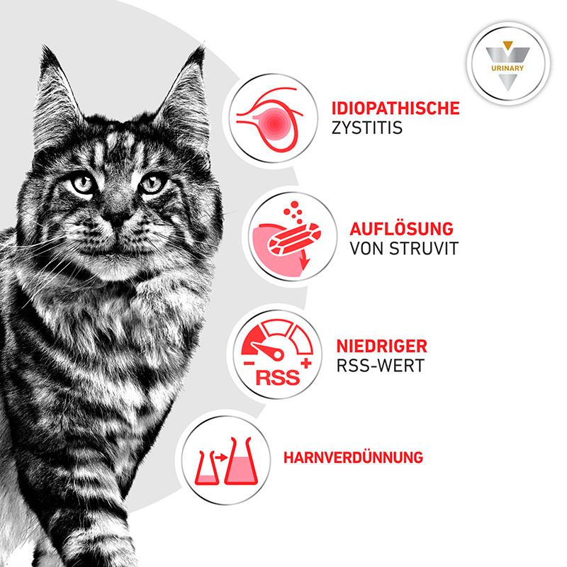 Sieben Beutel Royal Canin Veterinary Urinary S/O nebeneinander, mit Katzenmotiv.