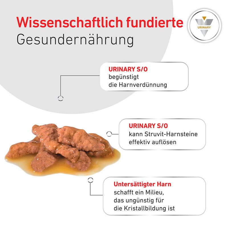 Neun Beutel Royal Canin Veterinary Urinary S/O nebeneinander, mit Katzenmotiv.