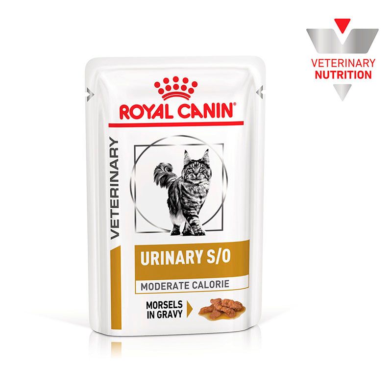 Royal Canin Urinary S/O Nassfutter und Trockenfutter.