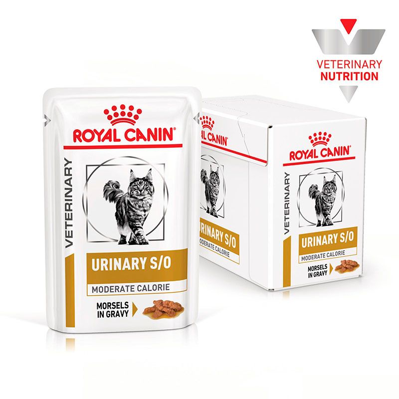 Packung und Schachtel Royal Canin Urinary S/O für Katzen, mit Bild einer Katze.