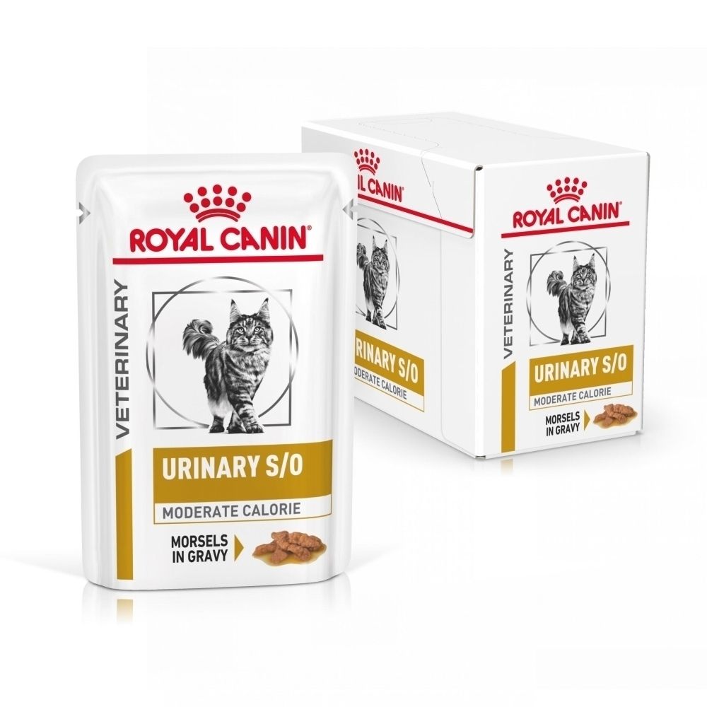 Boîte Royal Canin Veterinary Urinary S/O Moderate Calorie pour chat, vue de face.