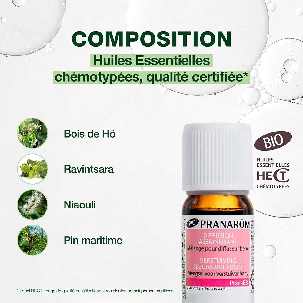 Zusammensetzung von ätherischen Ölen. Bois de Hô, Ravintsara, Niaouli, Pin maritime. Bio-Zertifizierung.