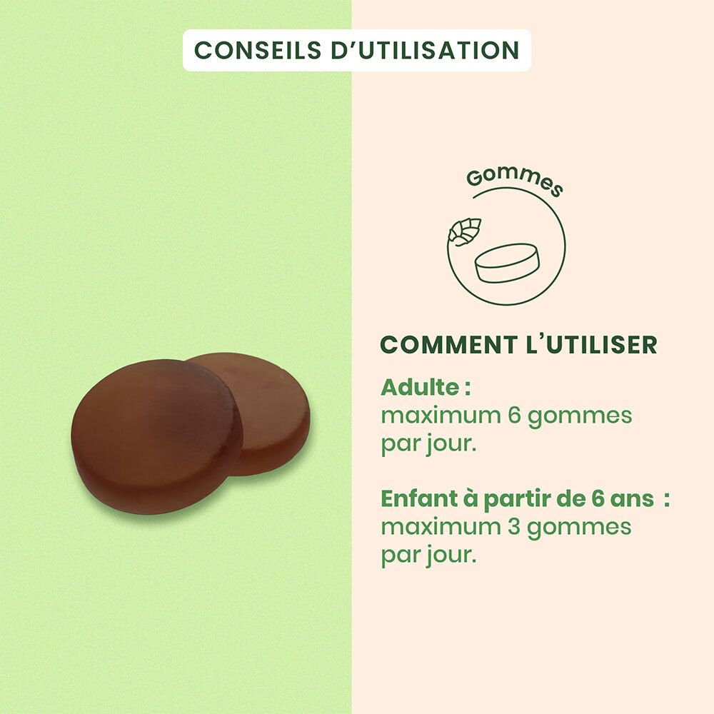 HerbalGem Gommes Chantres Bio