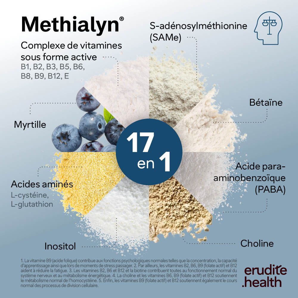 Infografik mit Vitaminen und Aminosäuren, darunter Blaubeeren, S-Adenosylmethionin, Betain, Cholin, PABA, Inositol und Aminosäuren.