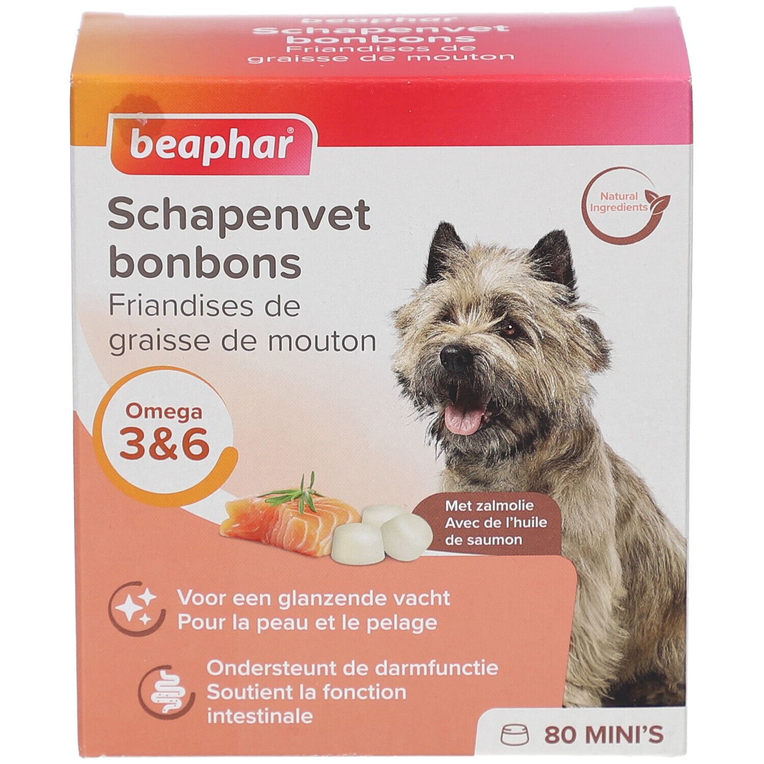 Beaphar Schapenvet bonbons Verpackung. Enthält 80 Mini's. Zeigt Hund, Lachs und Tabletten. Mit Omega 3&6.