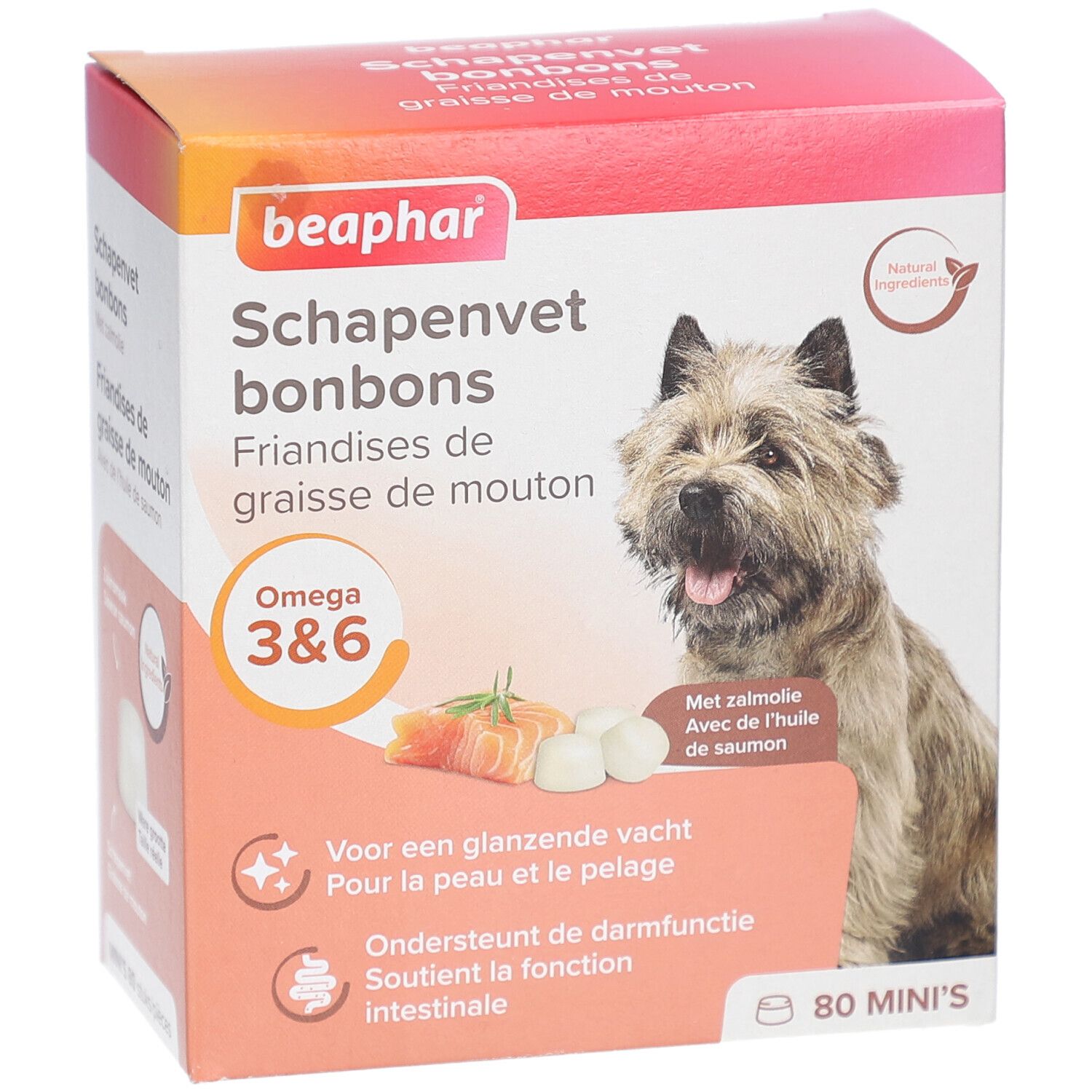 Beaphar Schapenvet bonbons Verpackung. Enthält 80 Mini's. Zeigt Hund, Lachs und Tabletten. Mit Omega 3&6.