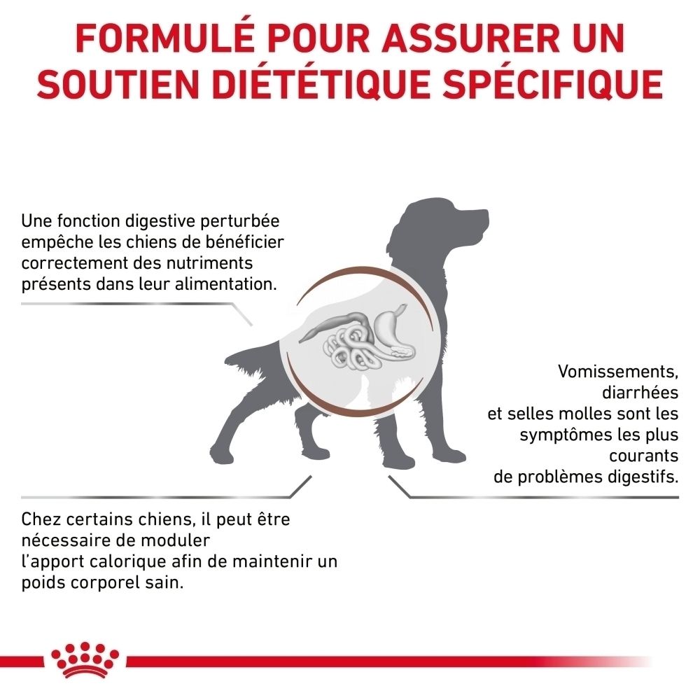 Illustration eines Hundes mit Fokus auf das Verdauungssystem, das Verdauungsprobleme wie Erbrechen und Durchfall zeigt.