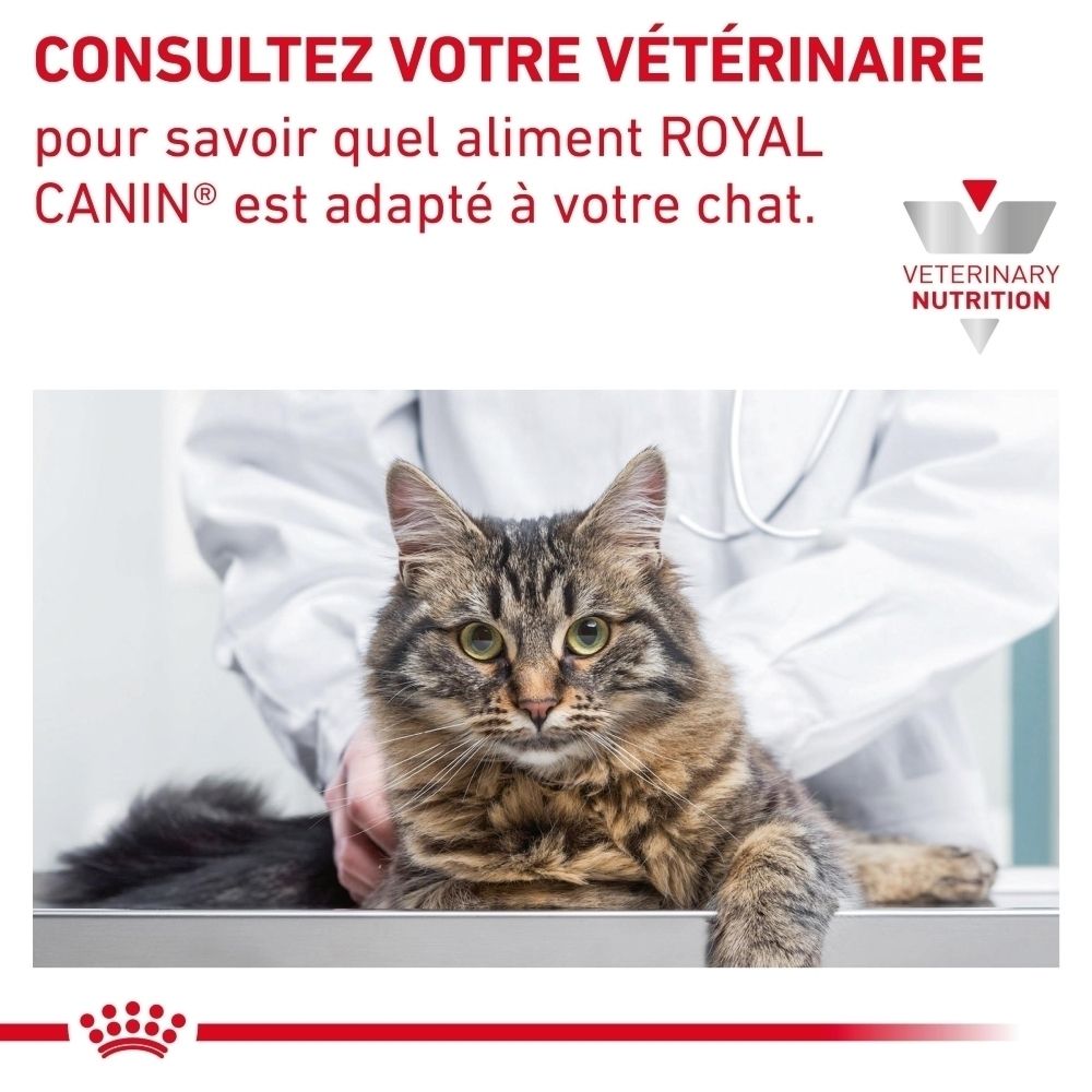 Comparaison de deux designs d'emballage Royal Canin Gastrointestinal Moderate Calorie.