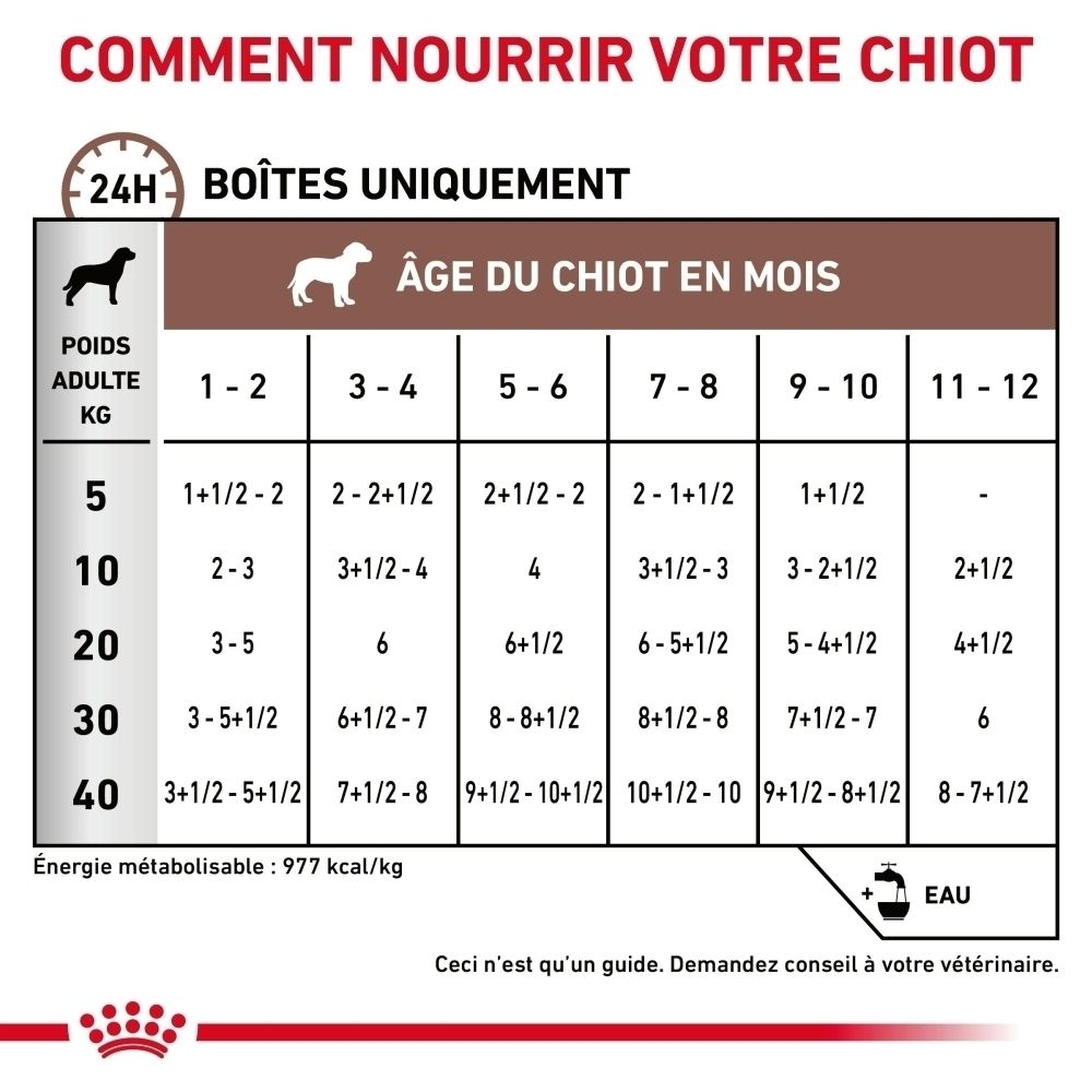 Guide d'alimentation pour chiots selon l'âge et le poids.