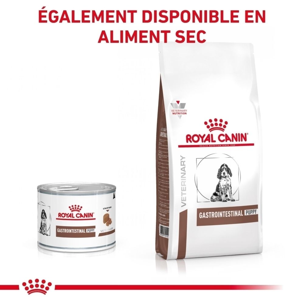 Boîte et sac de croquettes ROYAL CANIN Veterinary Puppy Gastrointestinal.