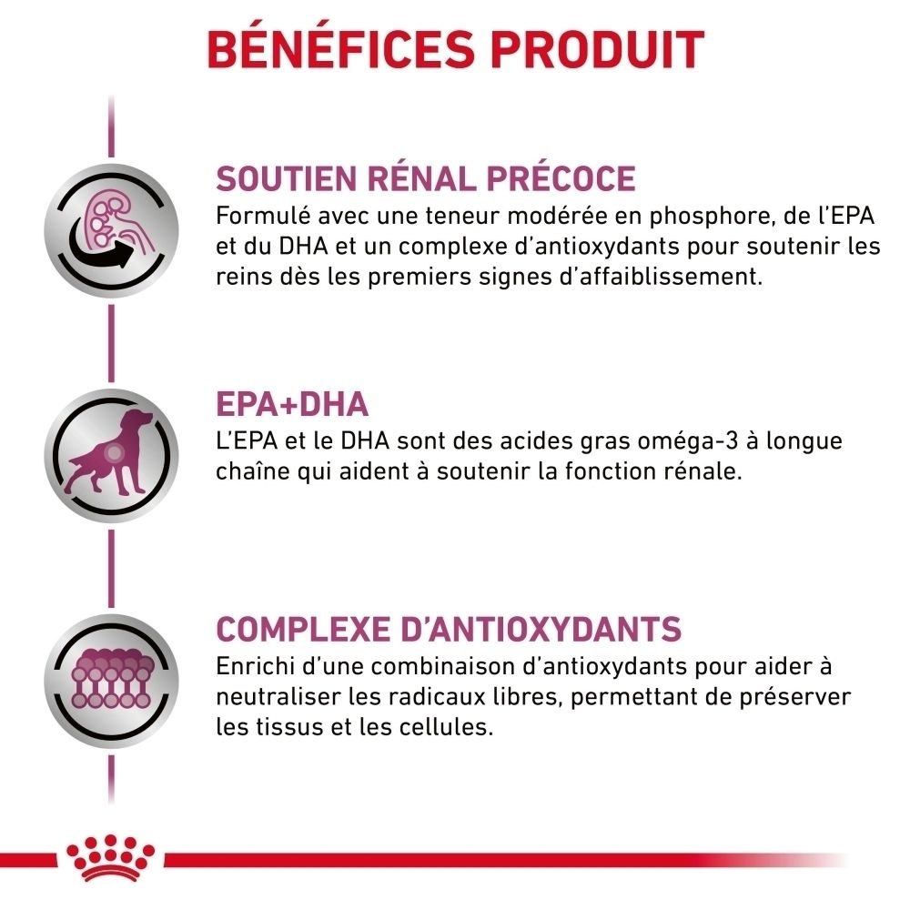 Royal Canin Veterinary Early Renal : Avantages produit : Soutien rénal, EPA+DHA, Complexe antioxydant.