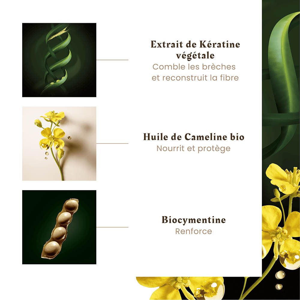 Rene Furterer Absolu Keratine Haarmaske mit pflanzlichem Keratin-Extrakt.