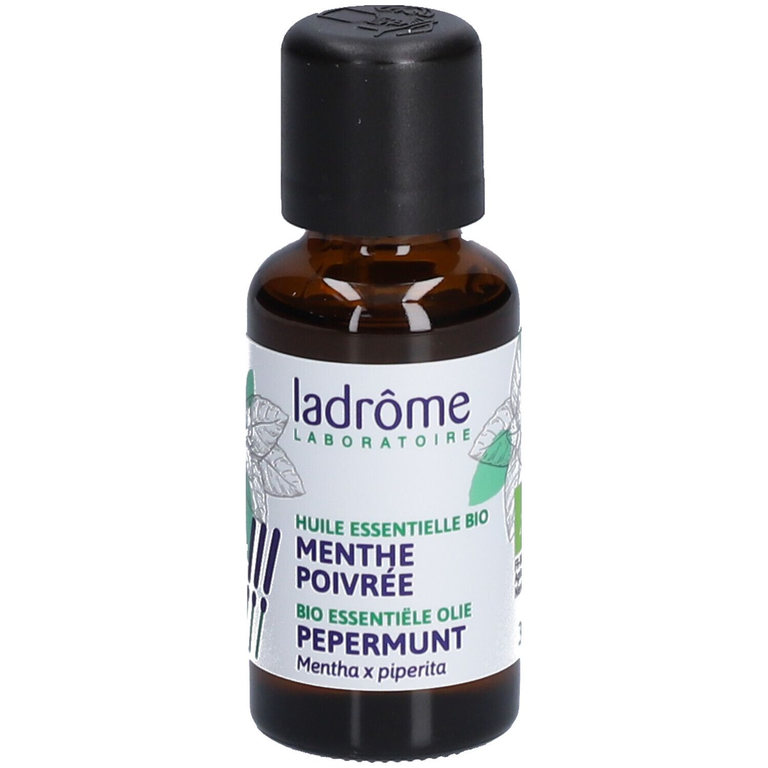 Ladrôme Pfefferminze
