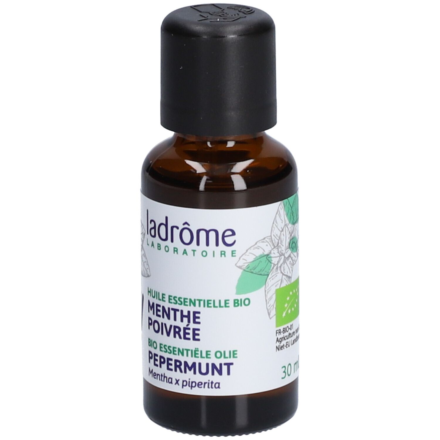 Ladrôme Pfefferminze