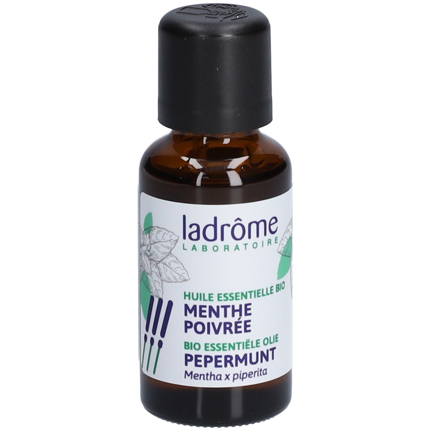 Ladrôme Pfefferminze