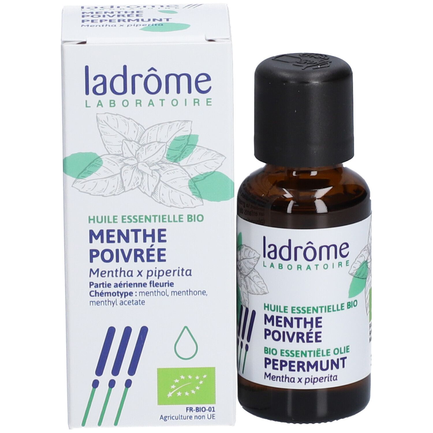 Ladrôme Pfefferminze