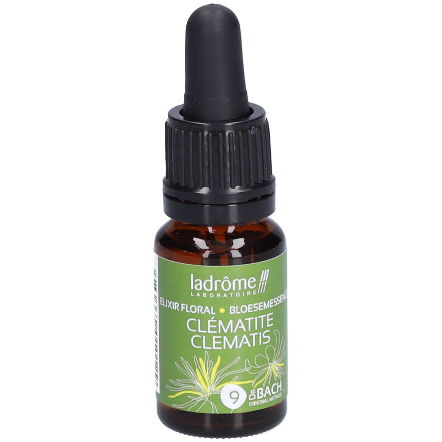 Ladrôme Clématite N°9
