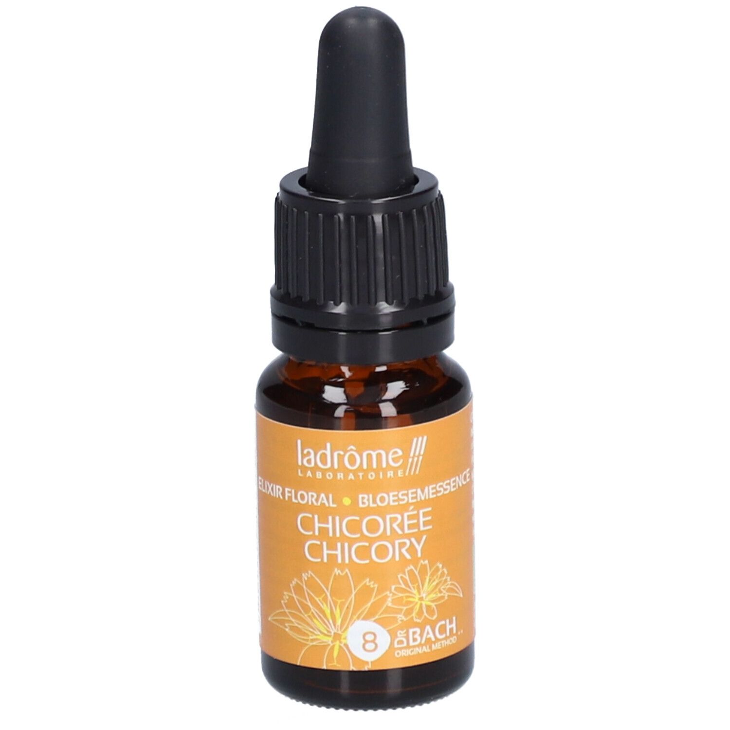 Ladrôme Chicorée Nr. 8