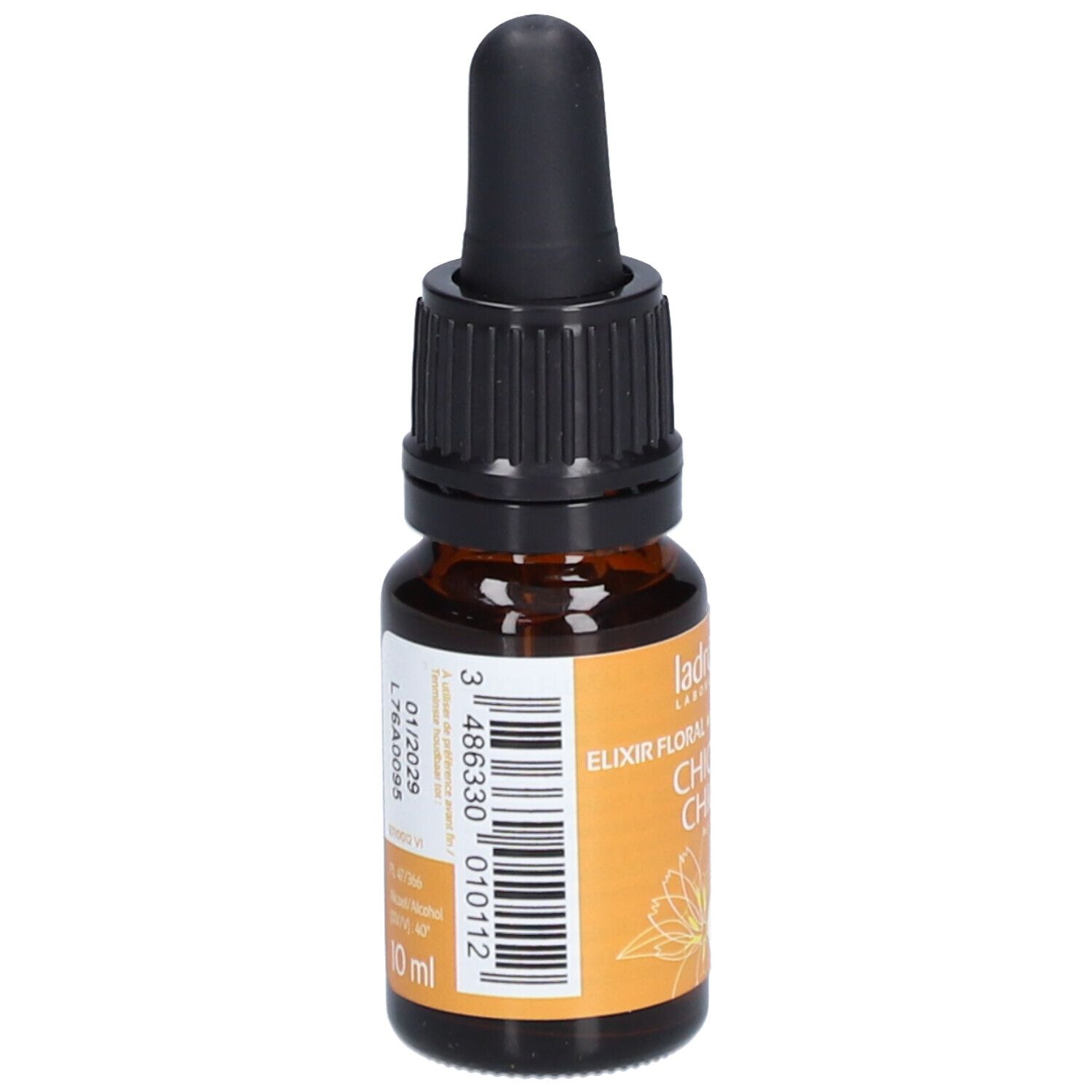 Ladrôme Chicorée Nr. 8