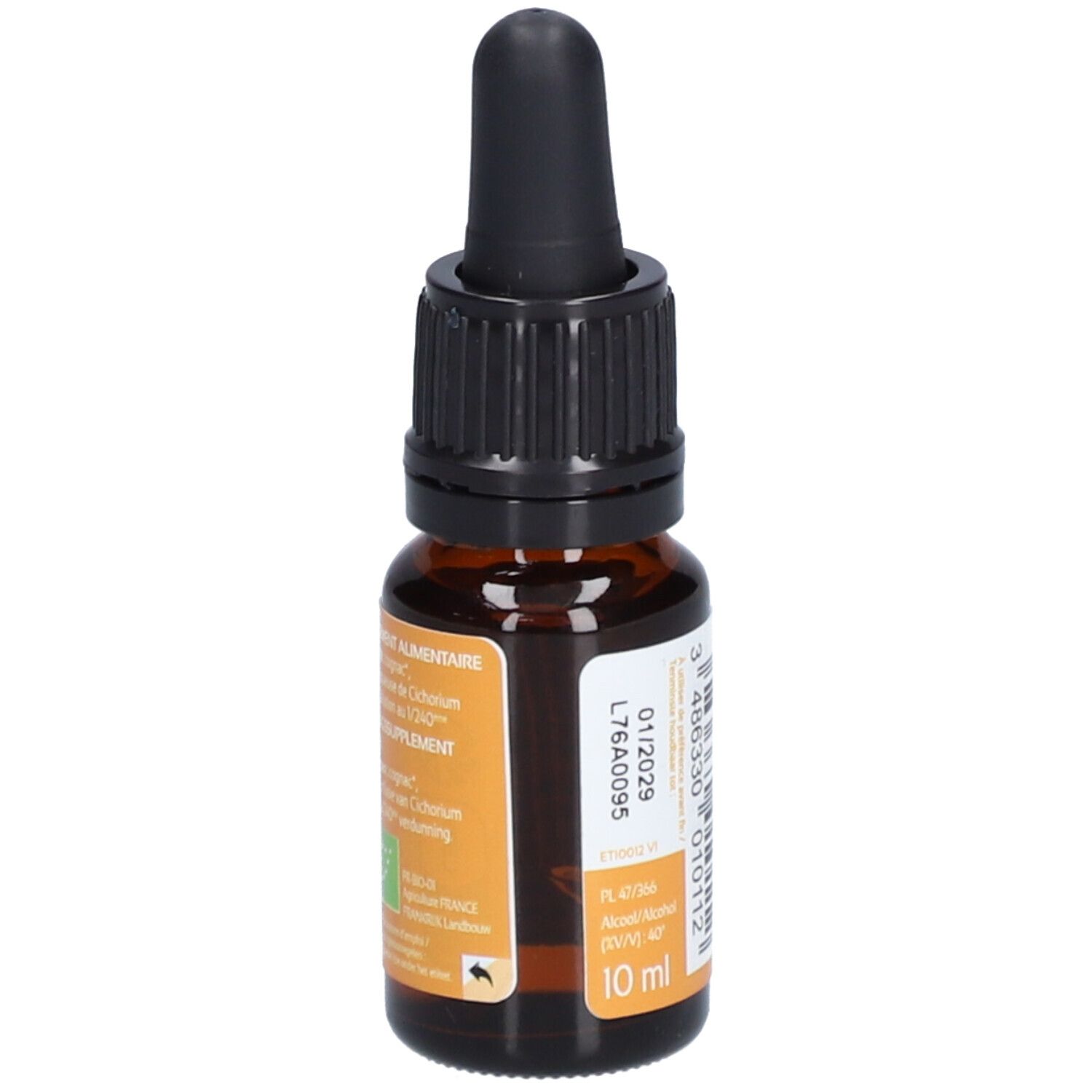 Ladrôme Chicorée Nr. 8