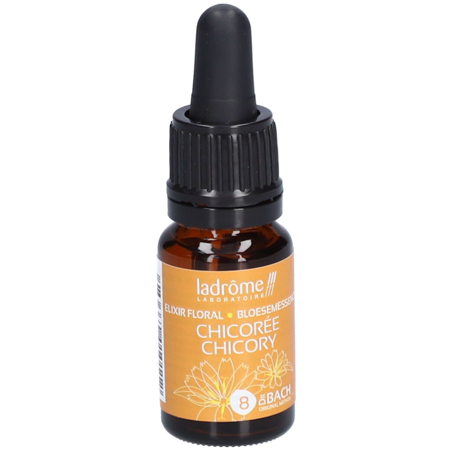 Ladrôme Chicorée Nr. 8