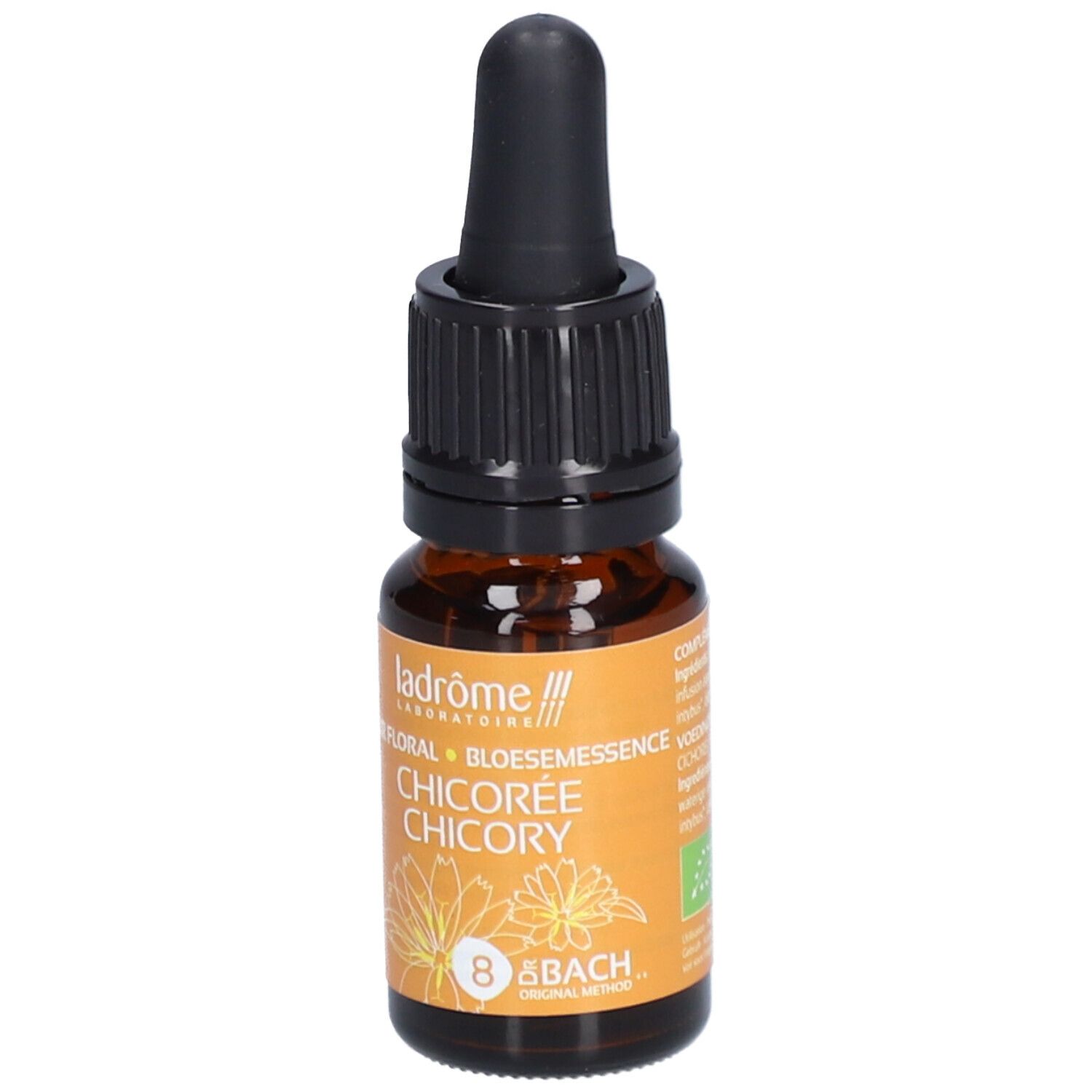 Ladrôme Chicorée Nr. 8
