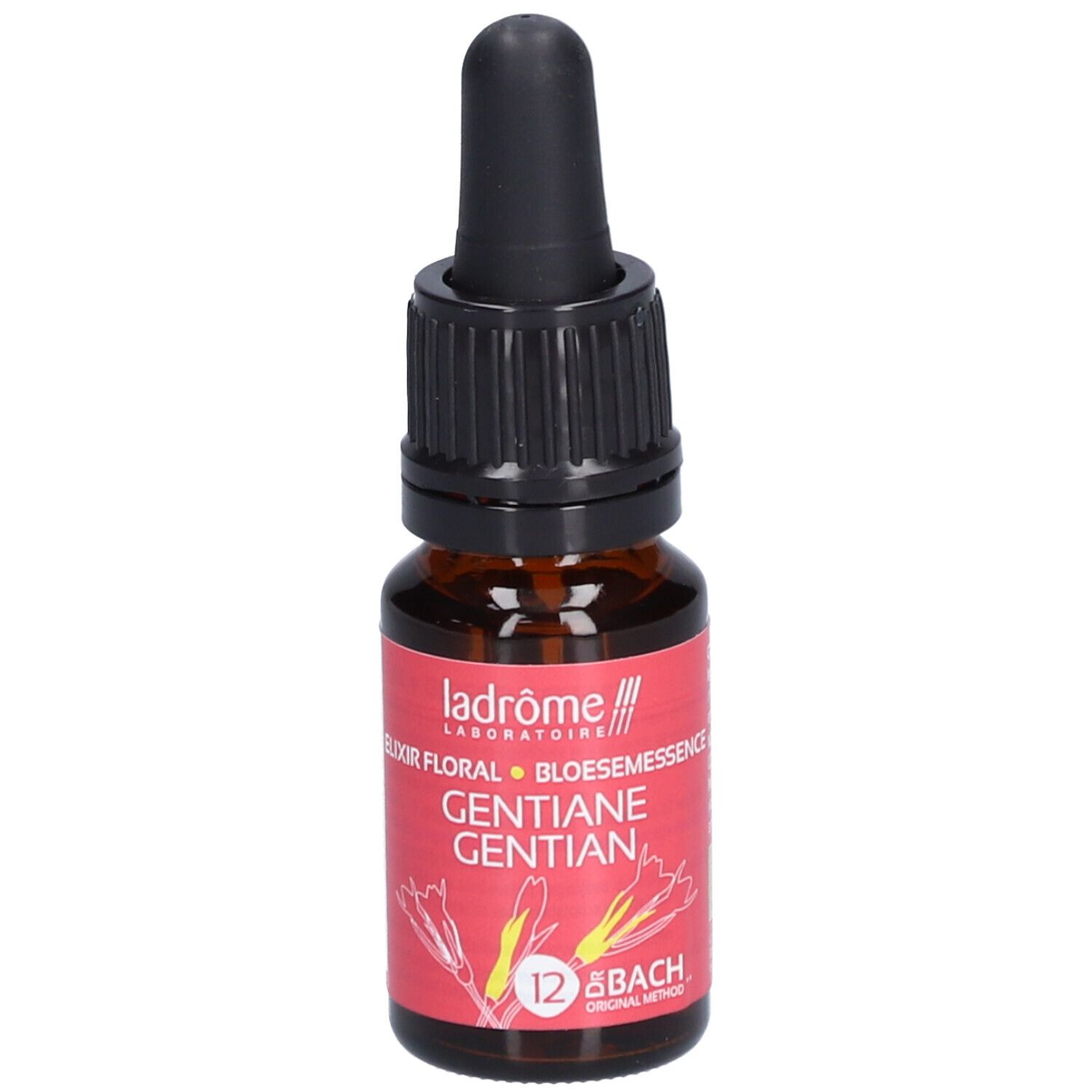 Ladrôme Enzian Nr. 12