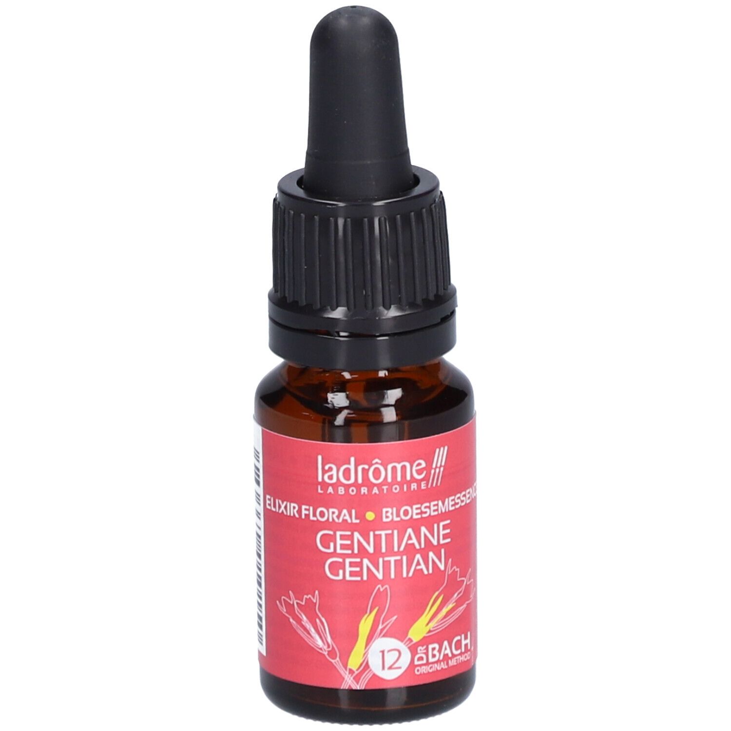 Ladrôme Enzian Nr. 12