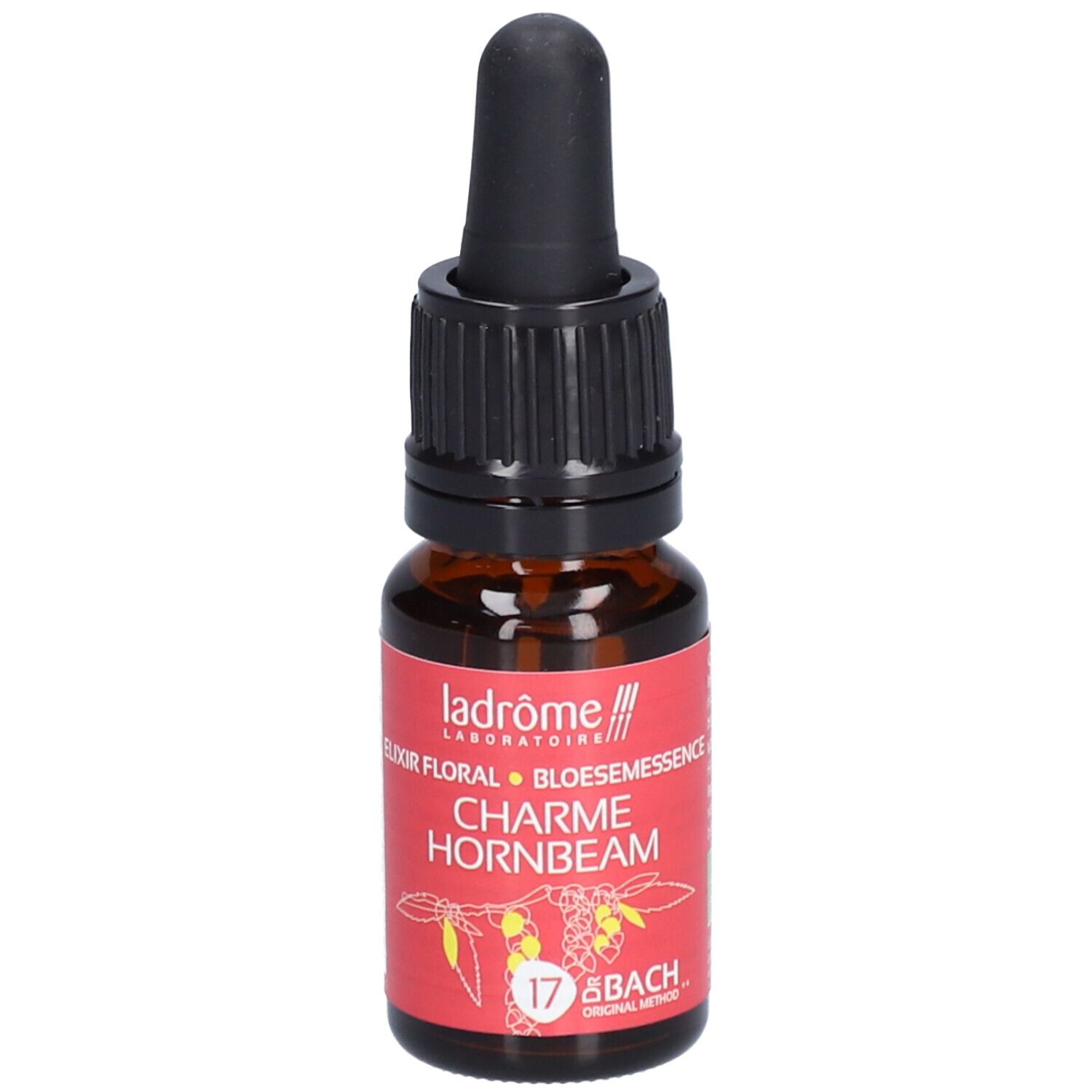 Ladrôme Charme Nr. 17