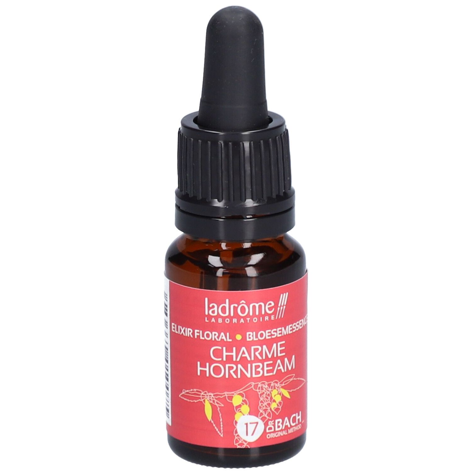 Ladrôme Charme Nr. 17