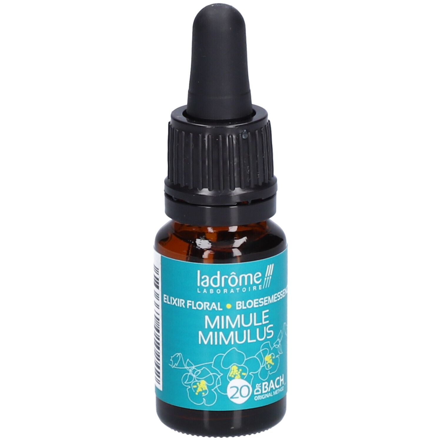 Ladrôme Mimule Nr. 20