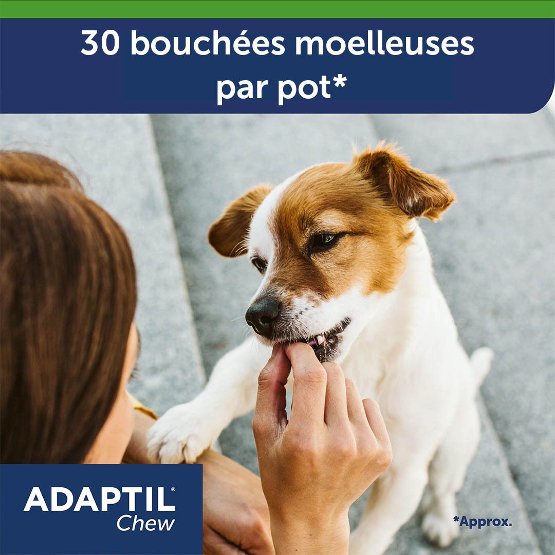 Adaptil Chew. Femme donne snack au chien. Texte : Adaptil Chew. 30 bouchées.