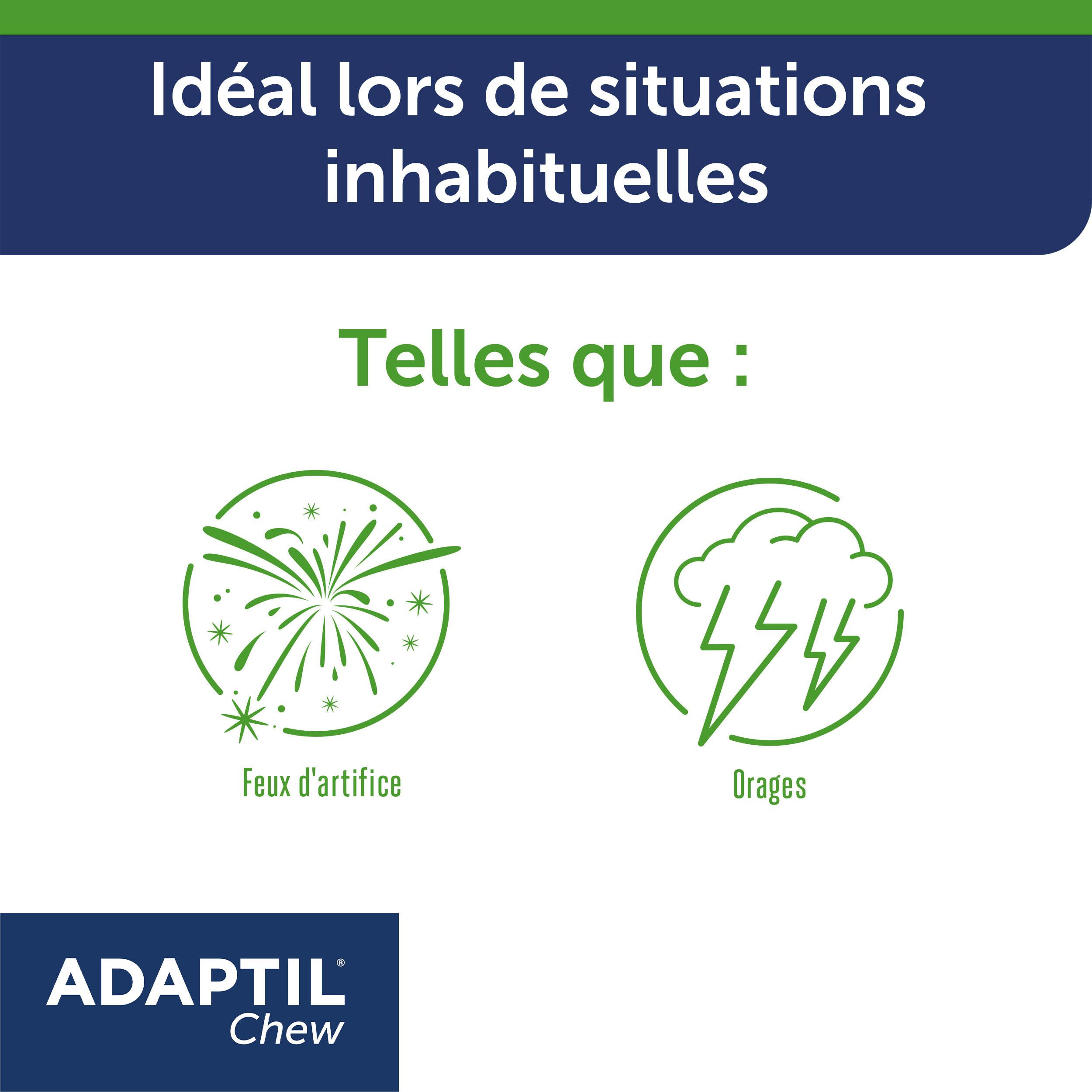 Adaptil Chew. Feux d'artifice et orages. Texte : Adaptil Chew. Situations inhabituelles.