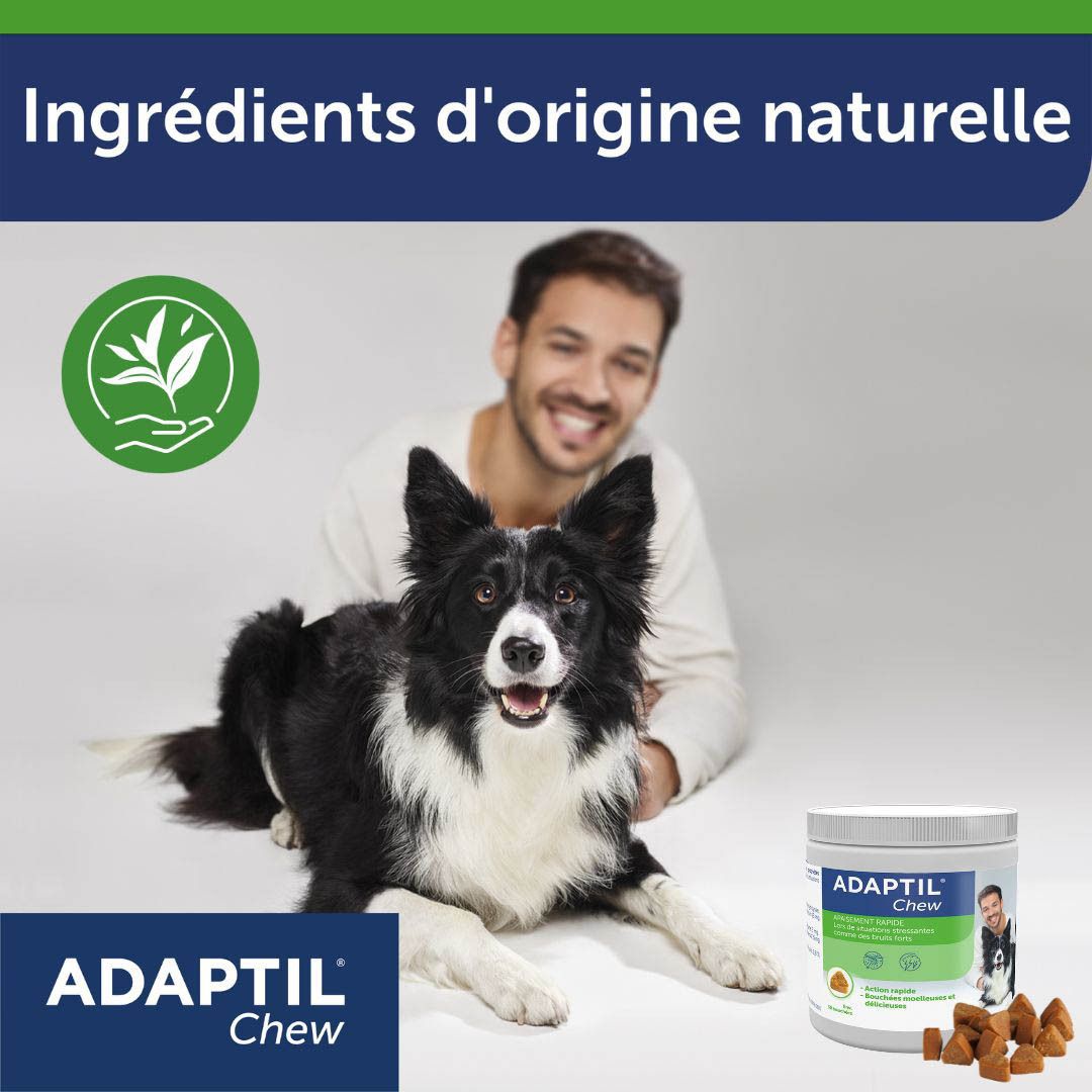 Adaptil Chew. Ingrédients naturels. Homme et chien. Bouchées à croquer.